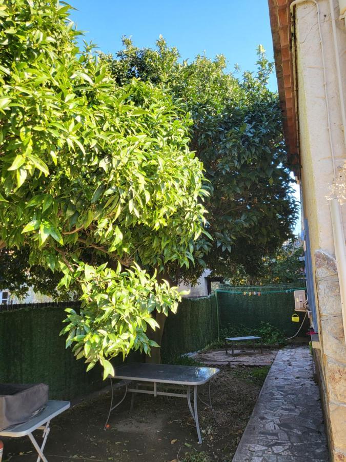 Clementine Διαμέρισμα Κολιούρ Εξωτερικό φωτογραφία